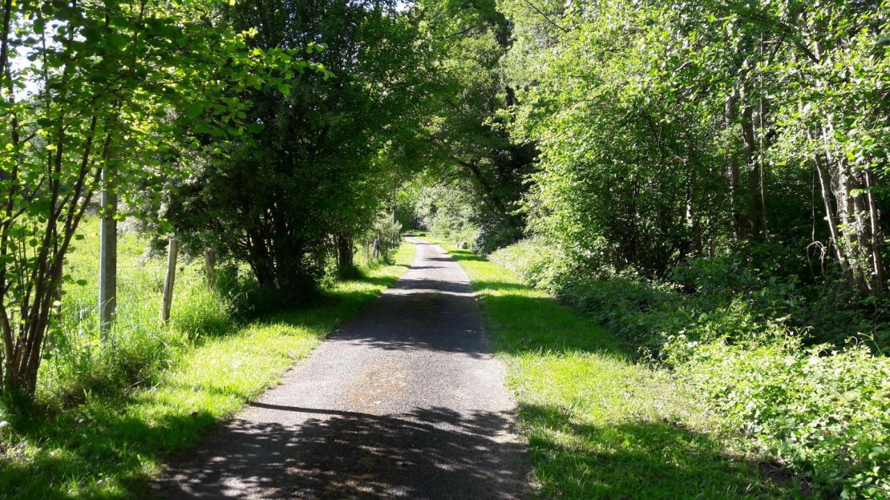 Gite De La Pierre Bleue, Maison A La Campagne Verdon  Bagian luar foto