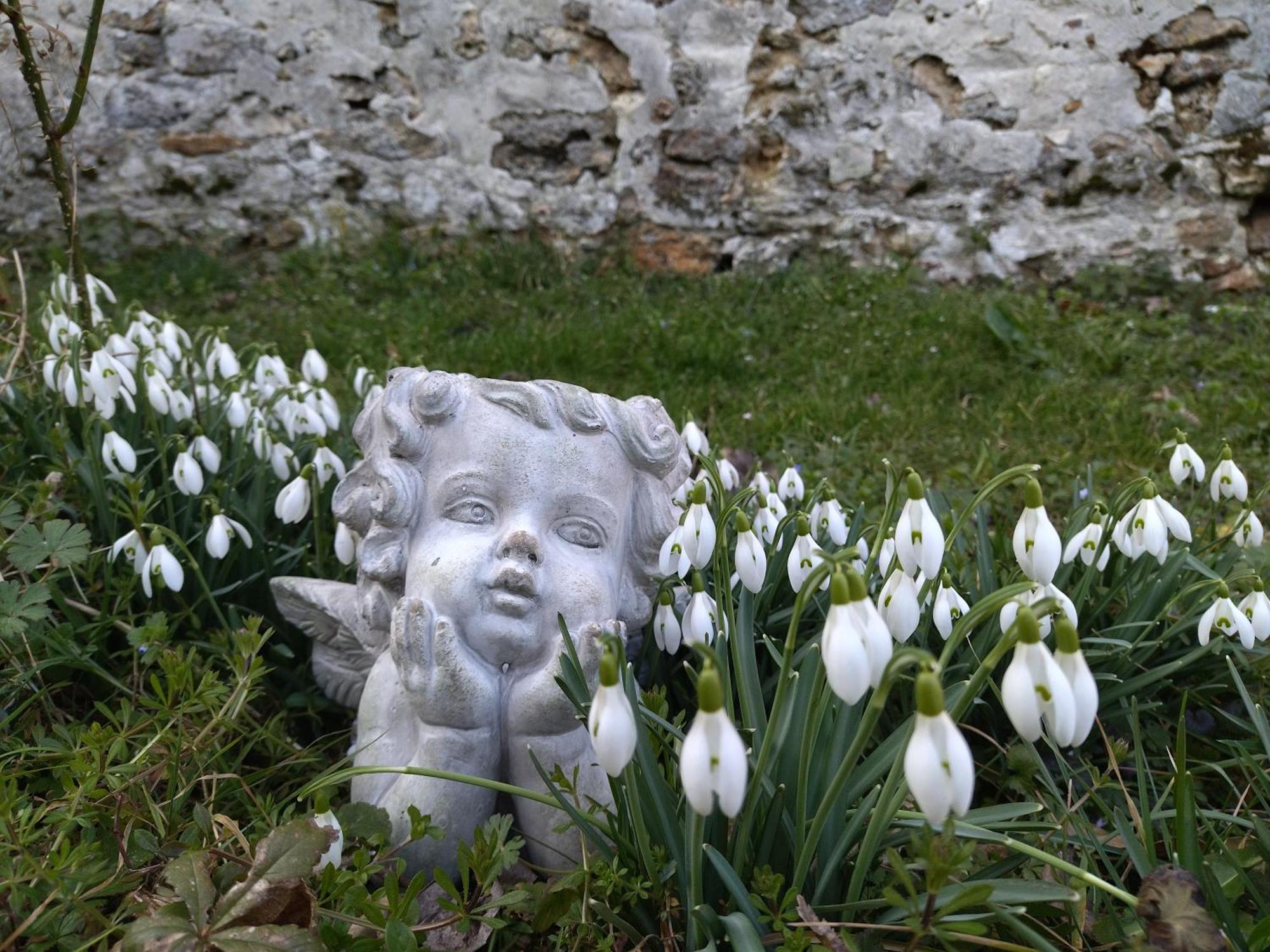 Gite De La Pierre Bleue, Maison A La Campagne Verdon  Bagian luar foto